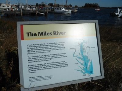 The Miles River Marker image. Click for full size.