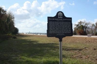 William Bartram's Plantation Marker, looking west image. Click for full size.