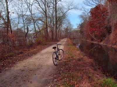 The C. & O. Canal Towpath. Click for full size. The C. & O. Canal Towpath image. Click for full size.