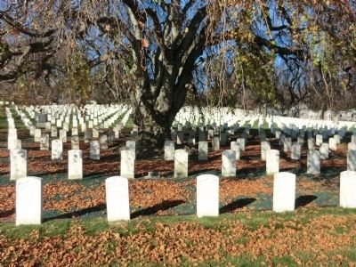 Tree Dedication for Medal of Honor Recipients Marker image. Click for full size.