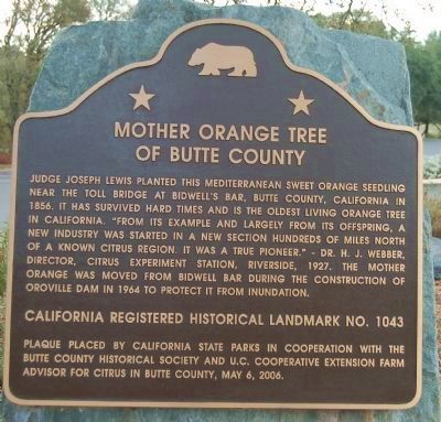 Mother Orange Tree of Butte County Marker image. Click for full size.