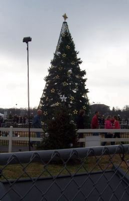 The National Christmas Tree - 2012. Click for full size. The National Christmas Tree - 2012 image. Click for full size.