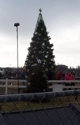 The National Christmas Tree - 2012 image. Click for full size.