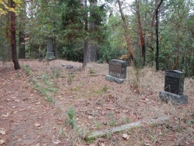 Lake Madrone Cemetery image. Click for full size.