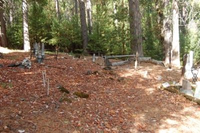 Forbestown Cemetery. Click for full size. Forbestown Cemetery image. Click for full size.