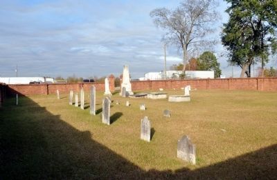 Twiggs Cemetery image. Click for full size.