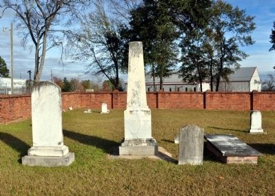 Twiggs Cemetery image. Click for full size.