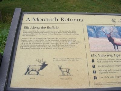 A Monarch Returns Marker image. Click for full size.