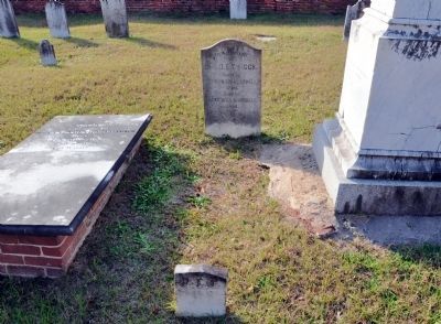 Twiggs Cemetery image. Click for full size.