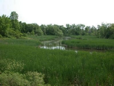 Camp X Site. Click for full size. Camp X Site image. Click for full size.