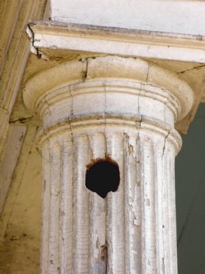 Woodpecker hole in a Doric column at Bostwick image. Click for full size.