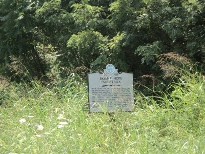 Bright Hope Industries Marker. Click for full size. Bright Hope Industries Marker image. Click for full size.