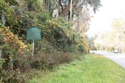William Bartram Scenic Highway Marker, looking north along State Road 13. Click for full size. William Bartram Scenic Highway Marker, looking north along State Road 13 image. Click for full size.