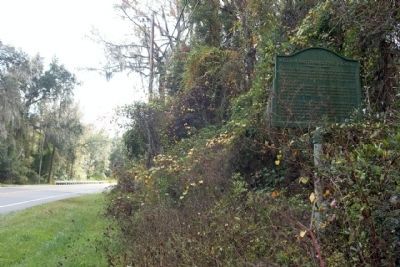 William Bartram Scenic Highway Marker looking southward. Click for full size. William Bartram Scenic Highway Marker looking southward image. Click for full size.