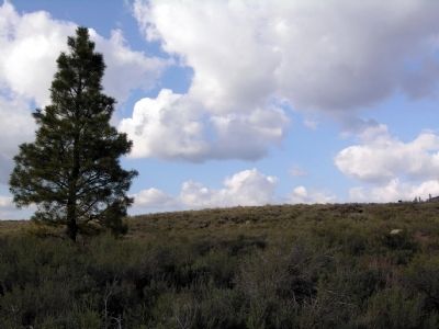 Boca Townsite Trail Area image. Click for full size.