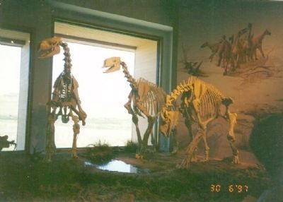 Inside the Agate Fossil Beds Visitor Center image. Click for full size.