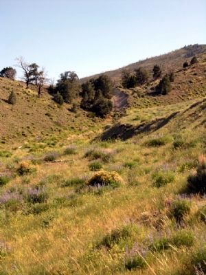 Fault Exposed by 1954 Earthquake. Click for full size. Fault Exposed by 1954 Earthquake image. Click for full size.