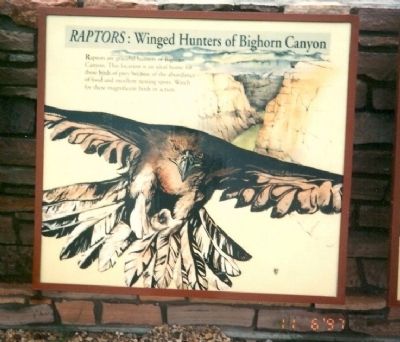 Raptors: Winged Hunters of Bighorn Canyon Marker image. Click for full size.