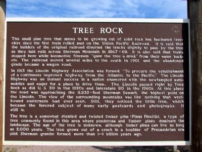 Tree Rock Marker. Click for full size. Tree Rock Marker image. Click for full size.