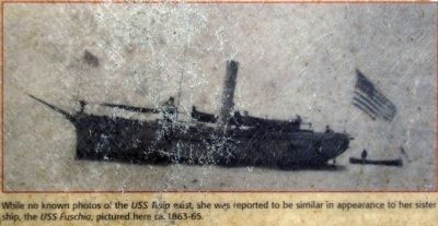USS Fuschia image. Click for full size.