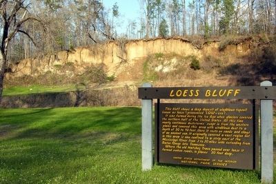Loess Bluff image. Click for full size.