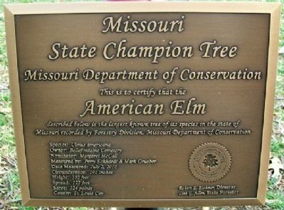 American Elm Marker. Click for full size. American Elm Marker image. Click for full size.