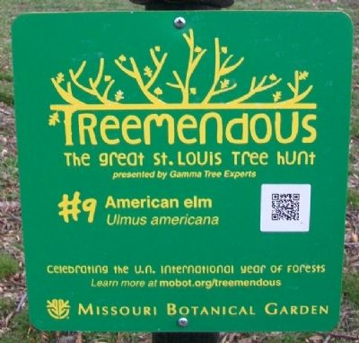 American Elm Treemendous Marker. Click for full size. American Elm Treemendous Marker image. Click for full size.
