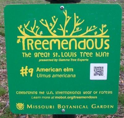 American Elm Treemendous Marker image. Click for full size.