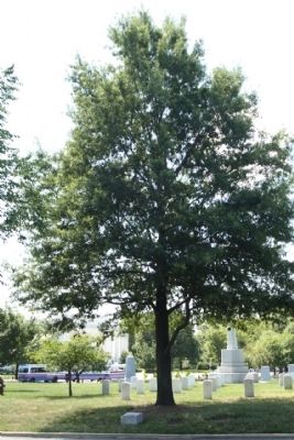 Landing Craft Support Ships Marker and Willow Oak Memorial Tree image. Click for full size.