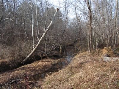Sturgeon Creek (downstream) image. Click for full size.