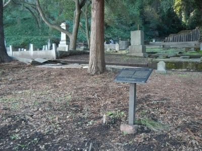 Grave of Grove C. Cook Marker image. Click for full size.