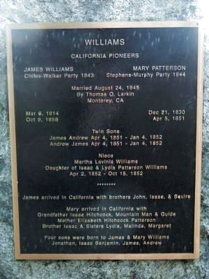 Williams Marker image. Click for full size.