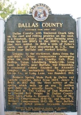 Dallas County Marker (back) image. Click for full size.
