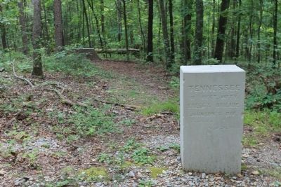41st Tennessee Infantry Marker image. Click for full size.