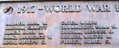 Polk County, Mo,, WWI Honored Dead image. Click for full size.