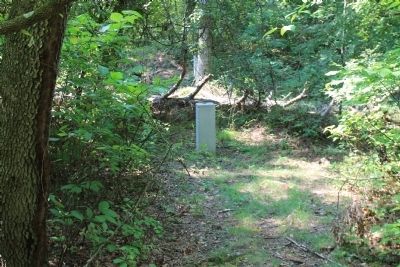 23rd Tennessee Infantry Marker. Click for full size. 23rd Tennessee Infantry Marker image. Click for full size.