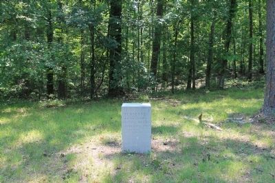 44th Tennessee Infantry Marker. Click for full size. 44th Tennessee Infantry Marker image. Click for full size.