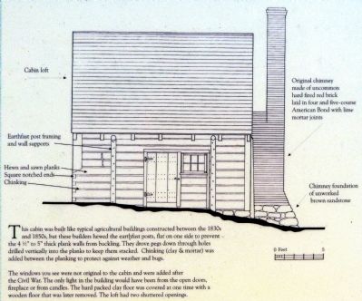 Architectural drawing of Sotterley Slave Cabin image. Click for full size.