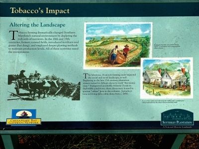 Tobacco's Impact Marker. Click for full size. Tobacco's Impact Marker image. Click for full size.