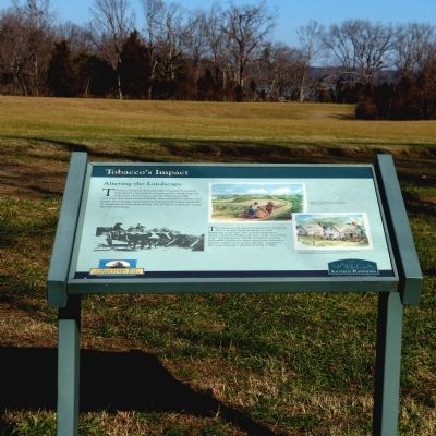 Tobacco's Impact Marker. Click for full size. Tobacco's Impact Marker image. Click for full size.