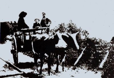 An ox-cart on the rolling road. Click for full size. An ox-cart on the rolling road image. Click for full size.