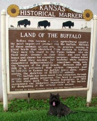 Land of the Buffalo Marker image. Click for full size.