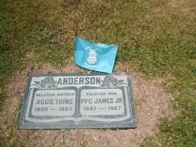 PFC James Anderson Grave Site image. Click for full size.