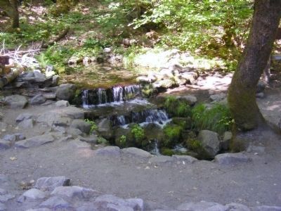 Water Running From Fern Spring image. Click for full size.