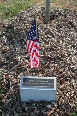 Veterans Grove Marker placed at a maple tree image. Click for full size.