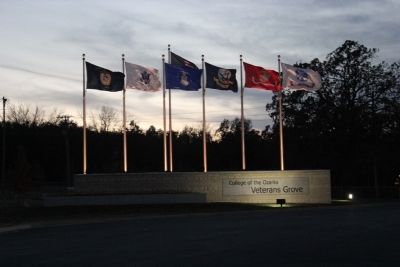 Veterans Grove at dusk. Click for full size. Veterans Grove at dusk image. Click for full size.