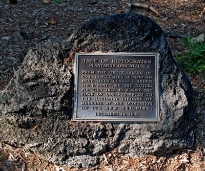 Tree of Hippocrates Marker image. Click for full size.