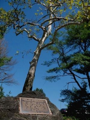 Tree of Hippocrates Marker. Click for full size. Tree of Hippocrates Marker image. Click for full size.