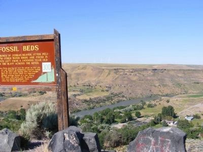Fossil Beds image. Click for full size.