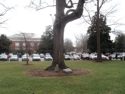 Marker at Guilford College image. Click for full size.
